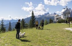 Cortina passeggiata in quota con cani Photo Credit: Giacomo Pompanin