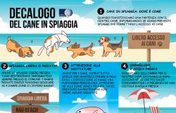 il decalogo dell'OIPA per il cane in spiaggia