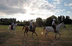 Verona, la città dei cavalli, ad ottobre il Mondiale Endurance