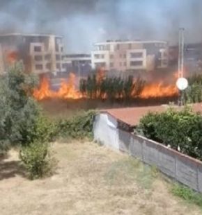 Roma, scatta la prevenzione incendi, prioritaria la cura del verde e taglio dell'erba da parte dei proprietari, fasce tagliafuoco in agricoltura