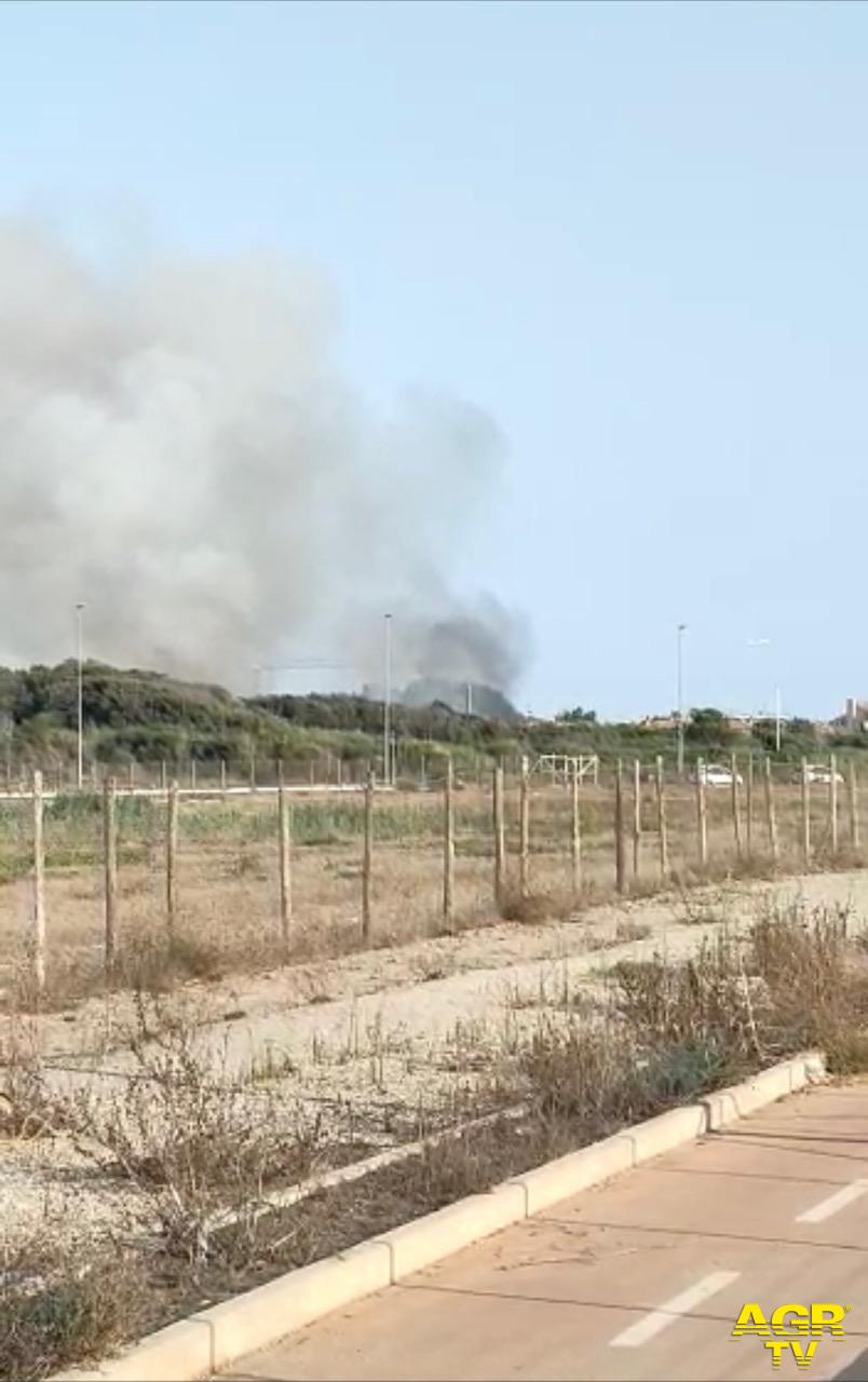 Fregene incendio nella macchia mediterranea