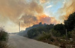 Fregene incendio nella Macchia Mediterranea