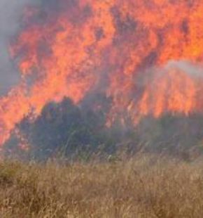 Gli incendi sono figli del riscaldamento globale: servono nuove strategie di prevenzione