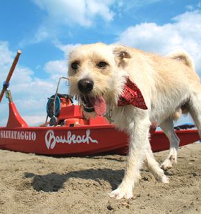 Maccarese, sabato 17 maggio riapre il Baubeach®, la spiaggia per la libera convivenza tra uomini e cani