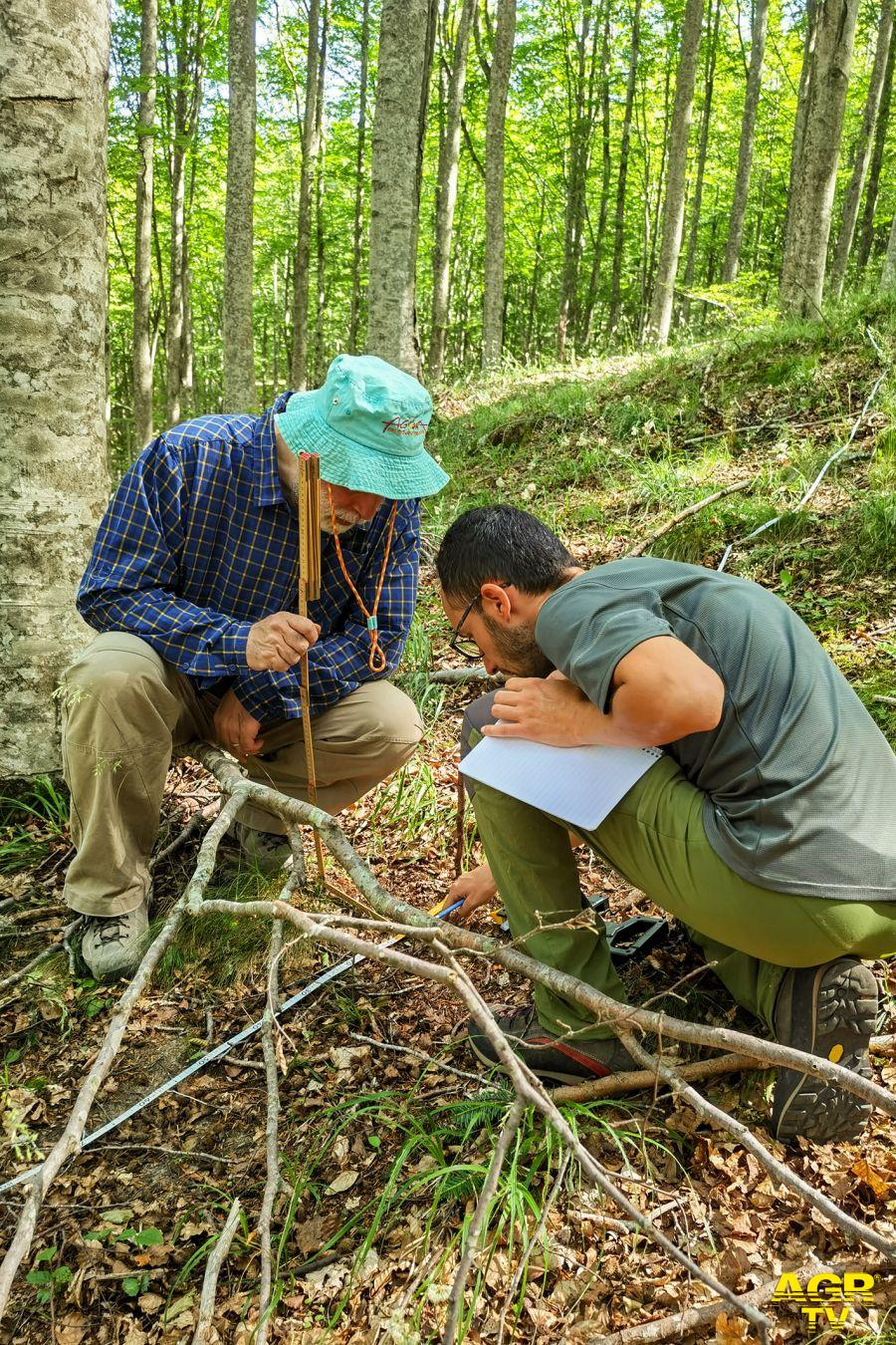 ricercatori studiano fonti inquinamento monitoraggio forestale