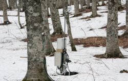 stazione monitoraggio forestale