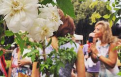 Roma, all'Orto Botanico La conserva della neve, le piante insolite e da collezione in mostra