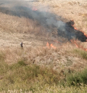 Caltanissetta, incendiaro fotografato e filmato dalle Guardie Zoofile mentre appicca il fuoco