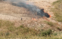 Caltanissetta, incendiaro fotografato e filmato dalle Guardie Zoofile mentre appicca il fuoco