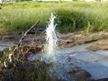 Fiumicino, altro geyser