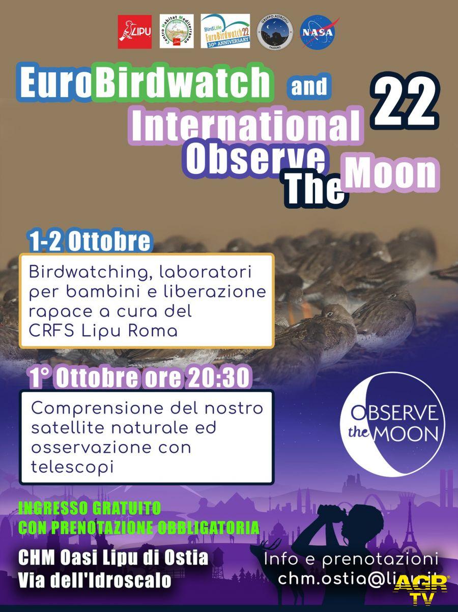 Eurobirdwatching e Notte Internazionale CHM locandina