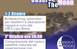 Ostia, EuroBirdwatch e Notte Internationale della Lipu al CHM Oasi al porto turistico