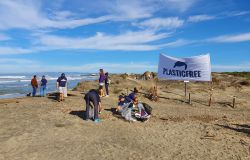 Plastic free, tutti assieme per pulire la spiaggia di Focene