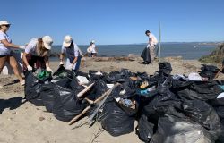 Ri-Party-Amo, oltre 200 ragazzi delle sezioni giovanili delle Fiamme Gialle puliranno le spiagge di Fiumicino e Sabaudia