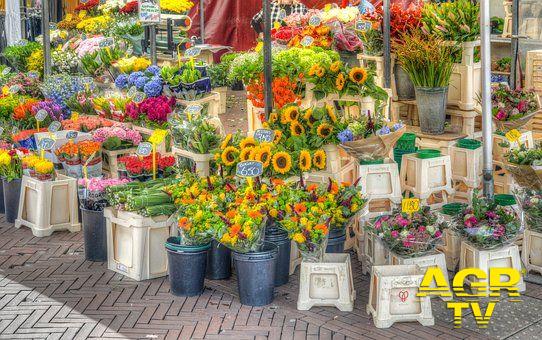 mercato dei fiori foto pixabay