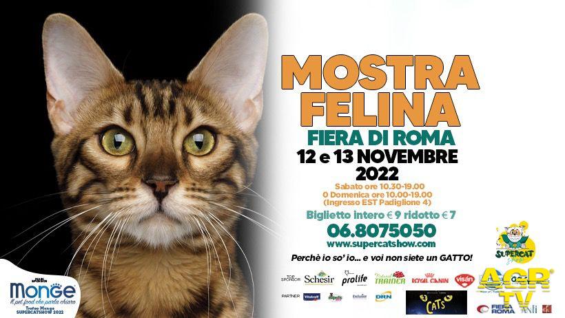 Super cat show locandina evento