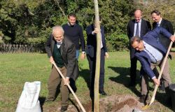 Città Metropolitana, presentato a Fiumicino il progetto di forestazione urbana, un milione di alberi per...Roma