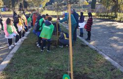 Tivoli è tra le località vincitrici del progetto: Insieme piantiamo alberi di Vallelata e Legambiente