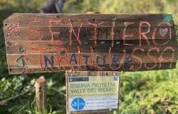 Rimboschimento sentiero trilussa riserva Decima Malafede