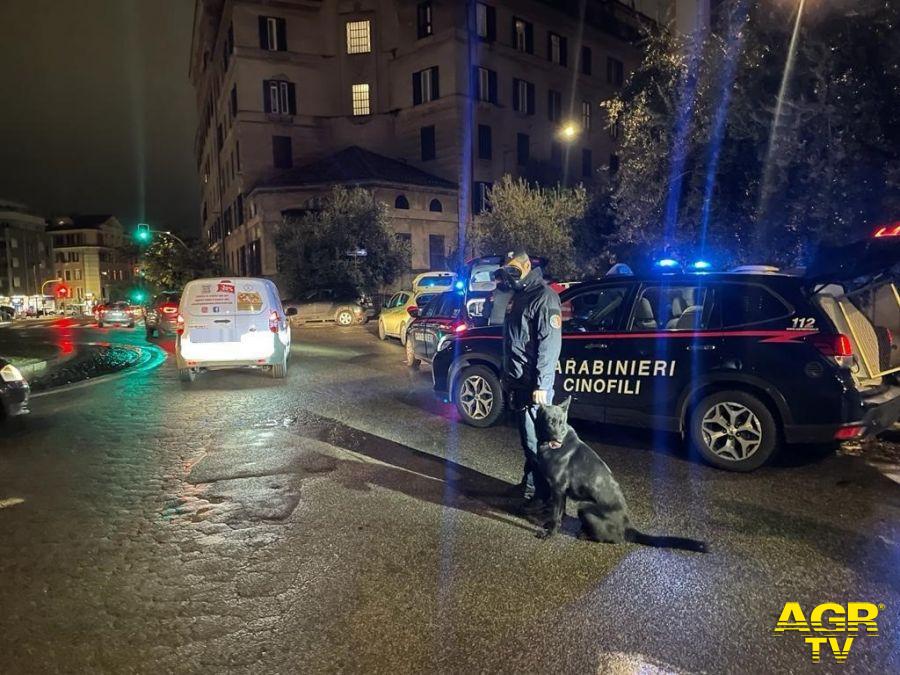 Carabinieri controlli notturni con unità cinofile