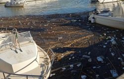 Fiumicino, darsena invasa da detriti e rifiuti galleggianti, le opposizioni insorgono, pronta interrogazione in comune