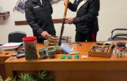 Tivoli, piante di marjuana, munizioni e anabolizzanti vietati, ai domiciliari 42enne