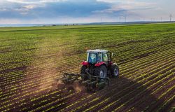 Agroecologia, una road map per la transizione ecologica dell'agricoltura in Italia