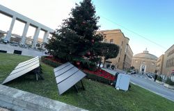 Roma, all'Università La Sapienza l'albero di Natale si illumina con il sole in collaborazione con Bluetti