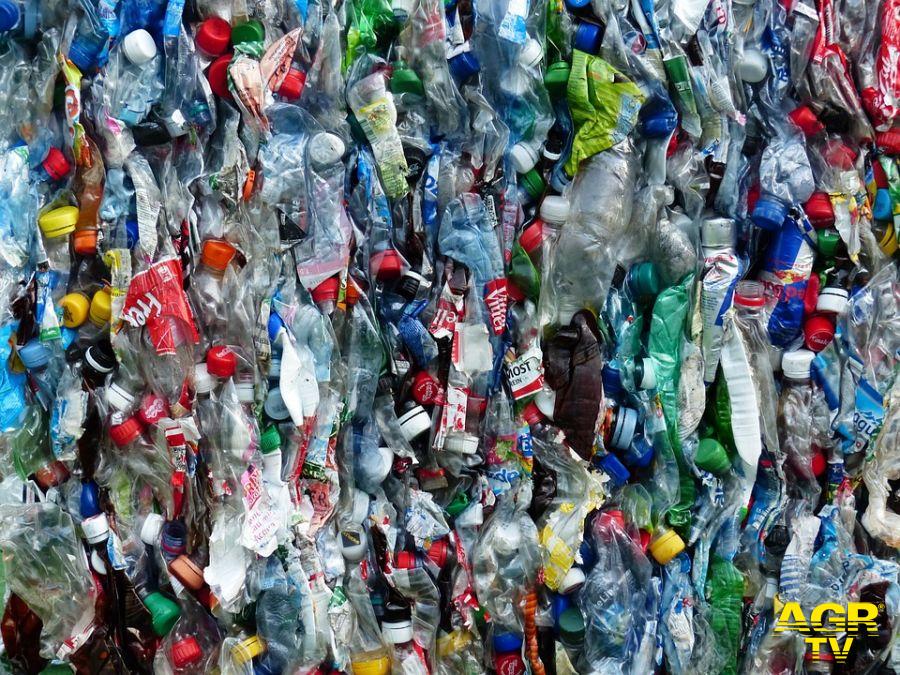 Plastic Free parte dalle scuole, oltre 80 mila studenti coinvolti
