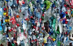 Plastic Free parte dalle scuole, oltre 80 mila studenti coinvolti