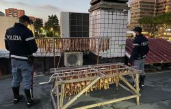 Roma, ristorante etnico lasciava ad essiccare gli alimenti all'esterno, sequestro della polizia