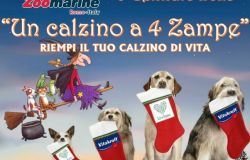 Torvajanica, allo Zoomarine per la Befana arriva Un calzino a quattro zampe