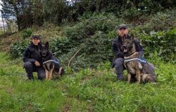 Firenze - La Polizia di Stato scopre 1,5 chili di droga nascosta tra i binari ferroviari in un’area dismessa vicino a via Paesiello.