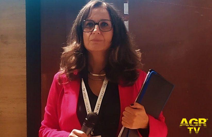 Presidente dell'Ordine Geologi Lazio, Simonetta Ceraudo