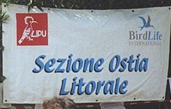 Ostia, Eurobirdwatch al CHM