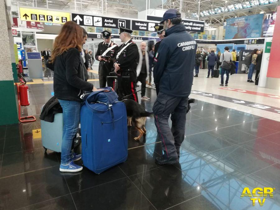 Carabinieri della Stazione Aeroporto Fiumicino hanno denunciato cinque persone per tentato furto