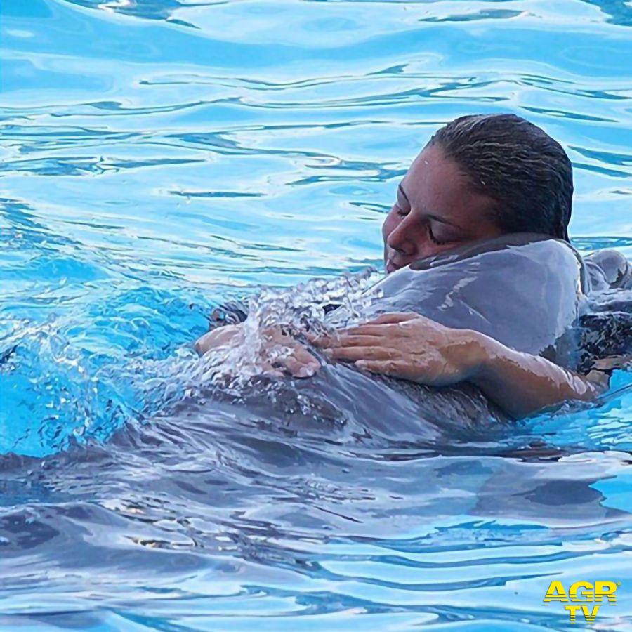 Zoomarine abbraccio delfino