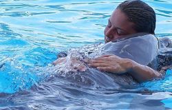 Zoomarine abbraccio delfino