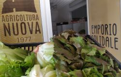 Biologico, cresce il consumo, AICS chiede politiche economiche per rendere il cibo sano accessibile alle fasce più deboli