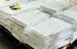 Roma, colpo grosso della polizia, sequestrati oltre 500 kg. di hashish