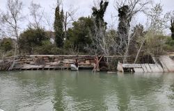 Fiumicino, al via la rimozione dei relitti sul Tevere, stamane sopralluogo sul Tevere del sindaco Montino