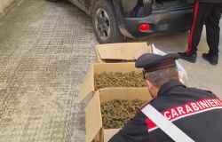 Carabinieri la marjuana essiccata sequestrata a Sacrofano