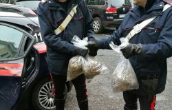 carabinieri droga sequestrata