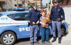 Ladispoli, cane smarrito, ritrovato dalla Polizia e riconsegnato alla padrona