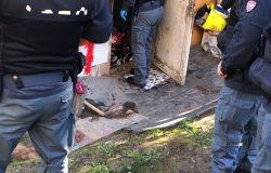 Pietralata, sgomberata area verde occupata da senza fissa dimora e restituita al proprietario