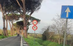 X Municipio, via dei pescatori, attraversamenti pedonali e tornano.... anche le biciclette