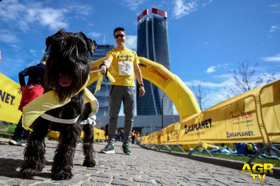 DogRun Arcaplanet foto da comunicato ph credit LaPresse