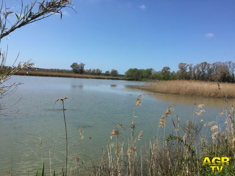 Oasi Macchiagrande foto WWF