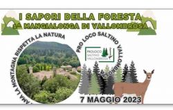 “I sapori della foresta – 1^ mangia longa di Vallombrosa” rivolto a tutti gli amanti delle camminate e della natura