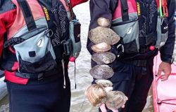 In canoa dall'Umbria a Roma, iniziativa di Citzen Science alla scoperta dei molluschi d'acqua dolce